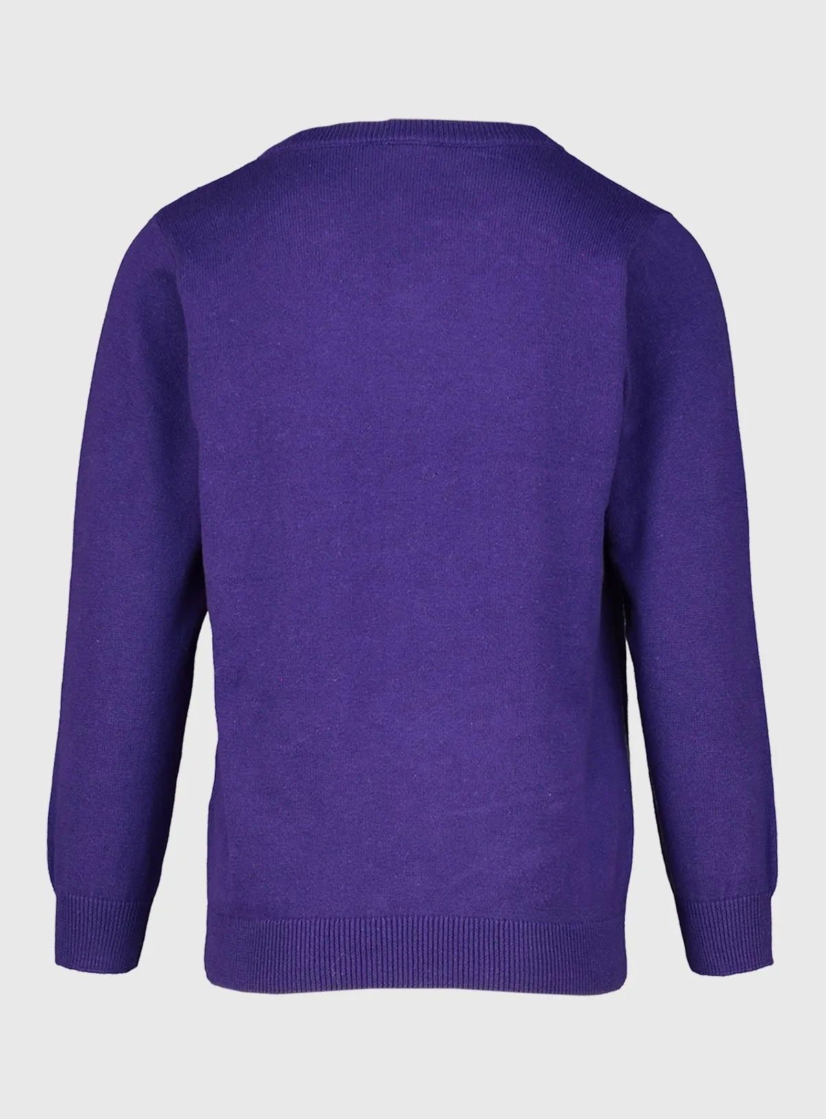 Buy Purple V-Neck Jumpers 2 Pack - 11 years | Jumpers and cardigans | Tu