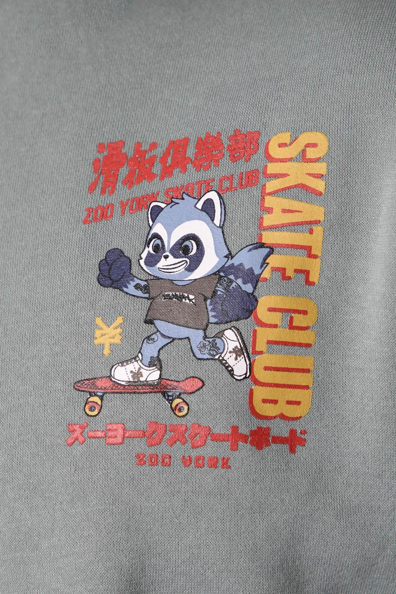 Hooded Print Skate Club Zoo York Unisex