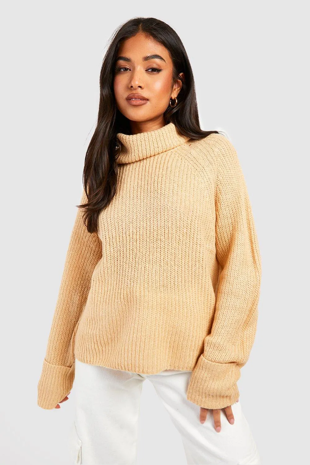 Jumpers & Cardigans | Petite Roll Neck Jumper | boohoo