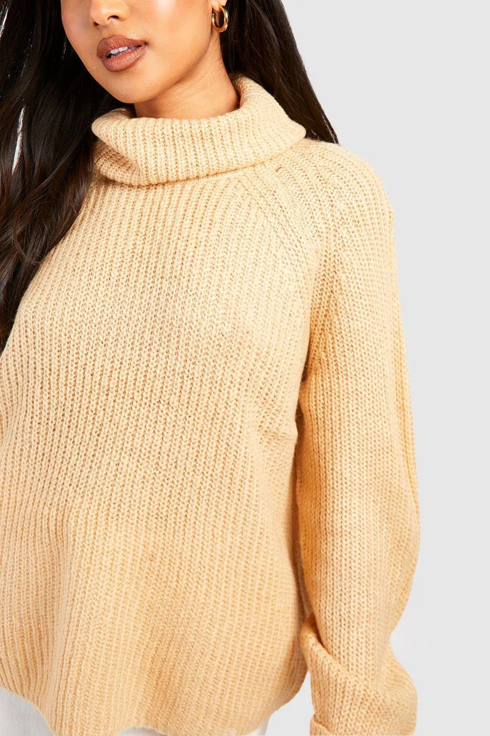 Jumpers & Cardigans | Petite Roll Neck Jumper | boohoo