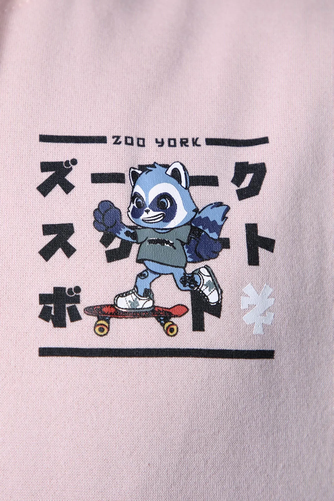 Zoo York Unisex Printed Hoodie